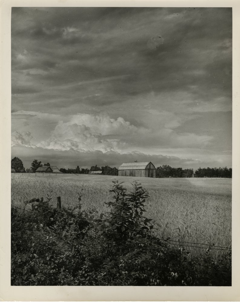 28-002 (click for large image)